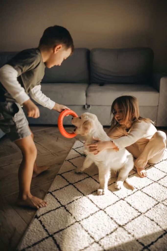 kids playing with pet