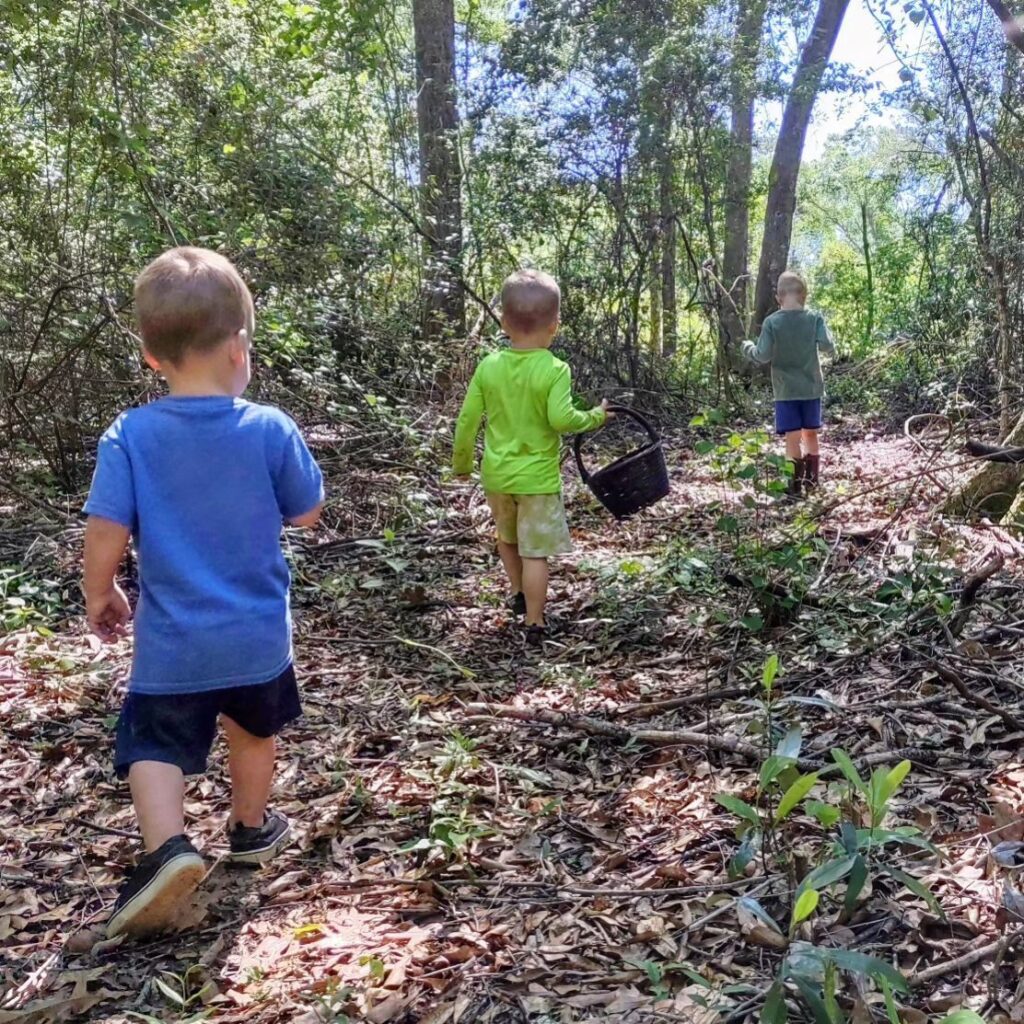 simple nature walks after school activity