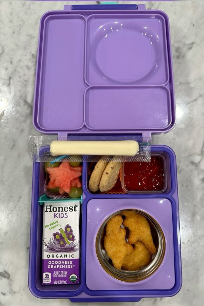 variety of food in school lunch box kids will actually finish