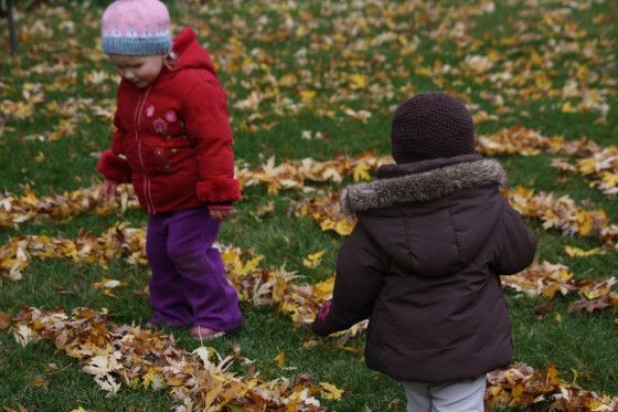 kids on leaf color hunt journey as one of the outdoor fall activities for kids