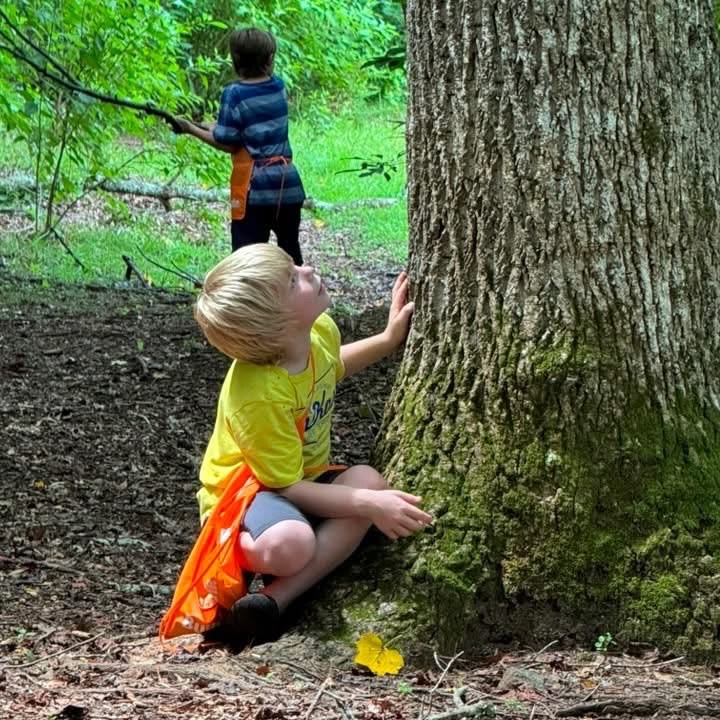 kids on tree identification walk as one of the outdoor fall activities for kids