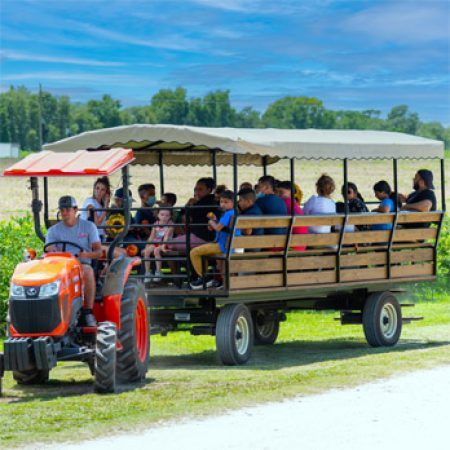 people enjoying hayrides