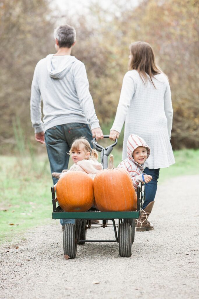 parents pushing kids and pumpkins on a wheelbarrow