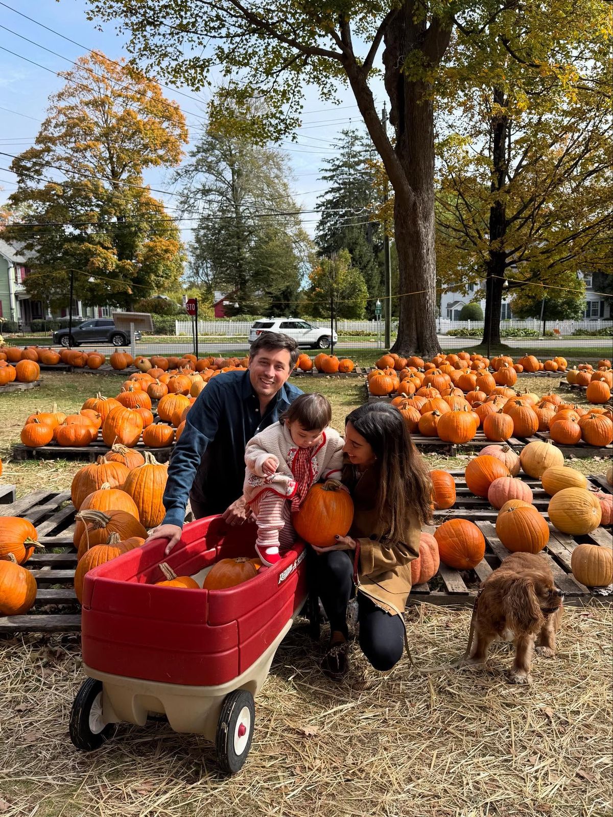 family picking pumpkin on pumpkin patch day
