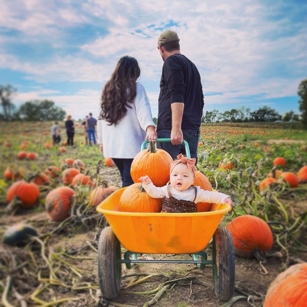parents carrying pumpkins and kid in a wheelbarrow