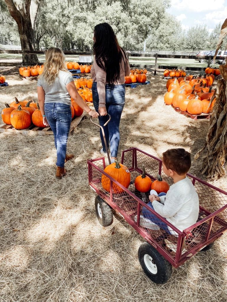 mom and kids visited pumpkin patch